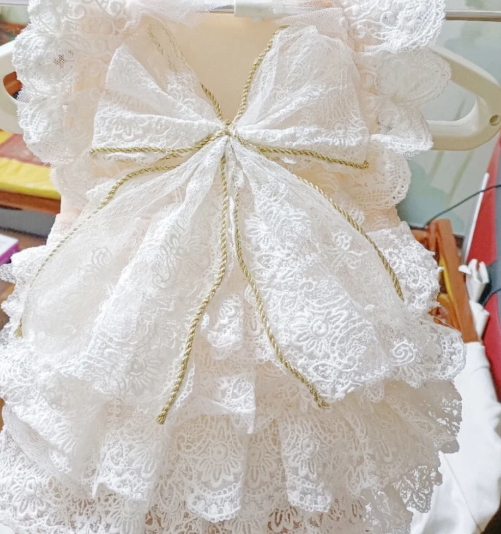KFX-5473853 Elegant White Lace Princess Dress for Dogs - Wedding Outfit