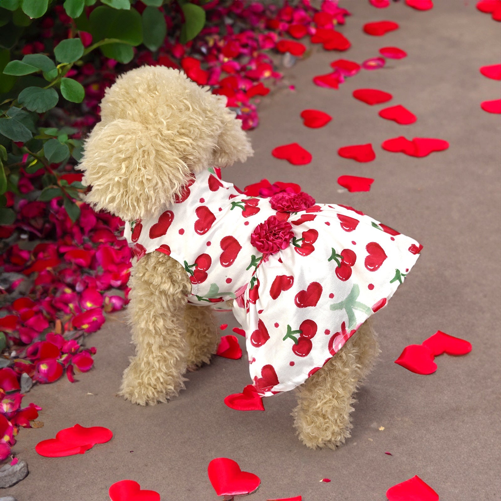 KFX-5474877 Cute Printed Skirt for Dogs and Cats in Pink Love Heart, Red Rose, and Rose Red Cherry