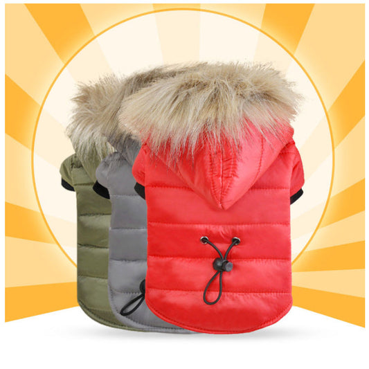 KFX-5477437 Cotton Pet Down Jacket for Comfort and Dryness