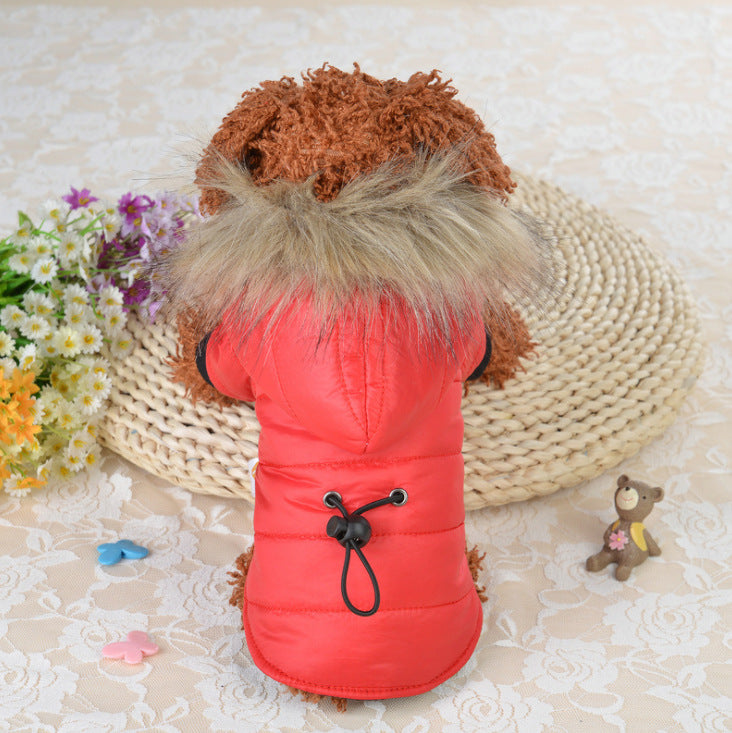 KFX-5477437 Cotton Pet Down Jacket for Comfort and Dryness