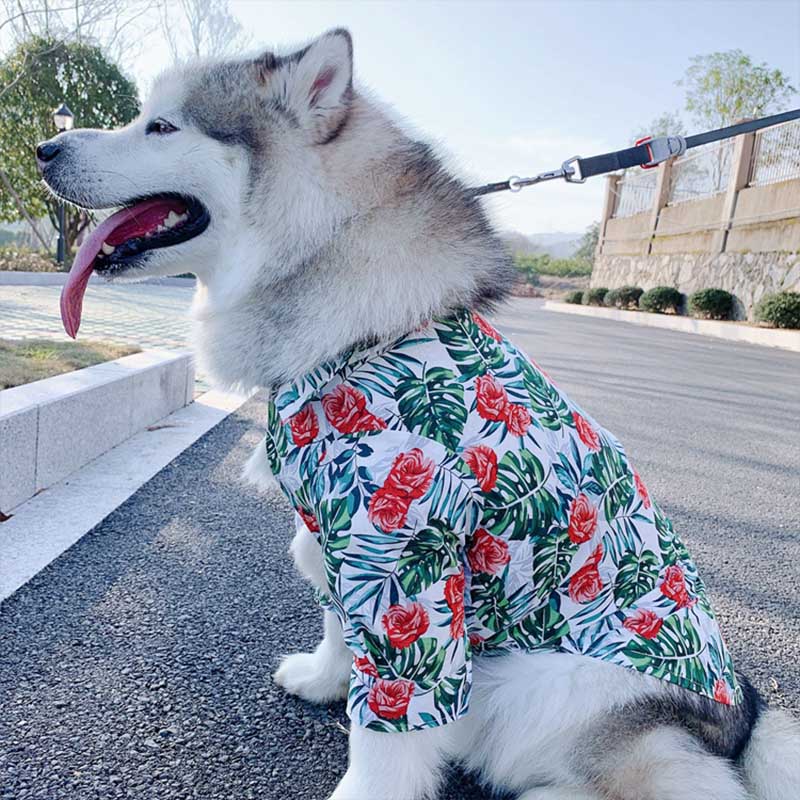 KFX-5492925 Casual Tropical Rain Forest Printed Pet Shirt for Everyday Wear