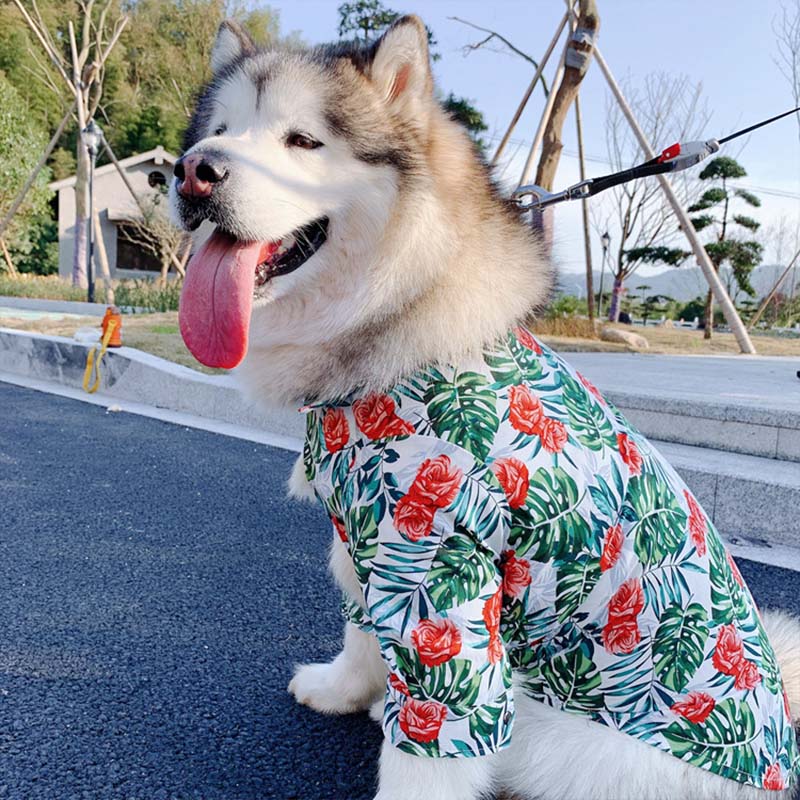 KFX-5492925 Casual Tropical Rain Forest Printed Pet Shirt for Everyday Wear