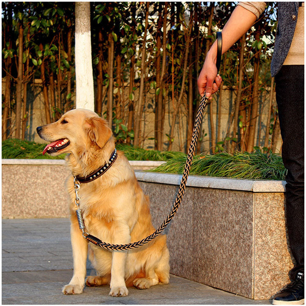 KFX-5494333 Durable Eight-Strand Cowhide Spring Traction Rope for Pets