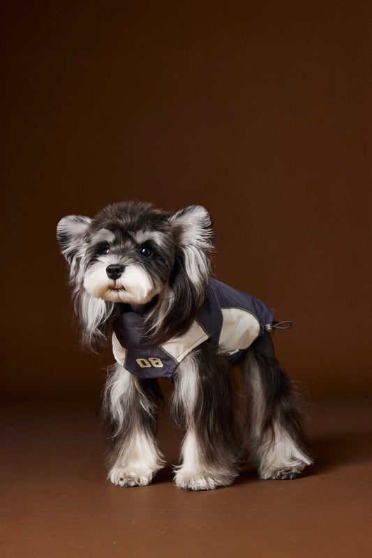 KFX-5499069 Casual Autumn Dog Clothes with Traction Rope Buckle for Small Breeds