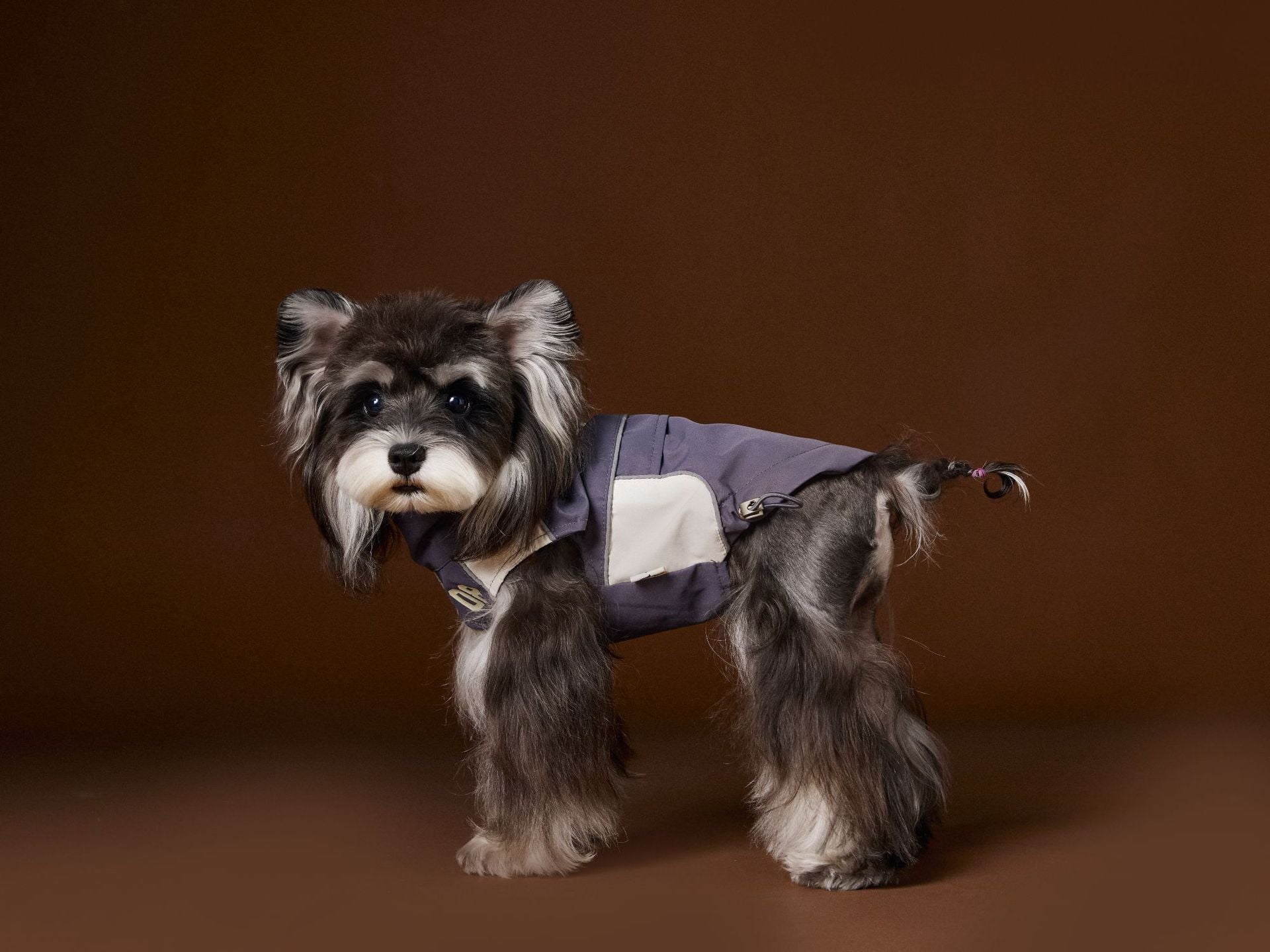 KFX-5499069 Casual Autumn Dog Clothes with Traction Rope Buckle for Small Breeds