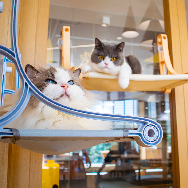 KFX-5501885 Window-Style Cat Hammock with Strong Suction Cup, Canvas & PP Material, Perfect for Sunbathing Pets