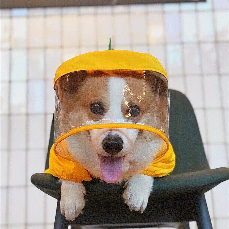 KFX-5504445 Cute Dinosaur Raincoat for Pets - Waterproof Polyester, Breathable Mesh, Available in Multiple Sizes