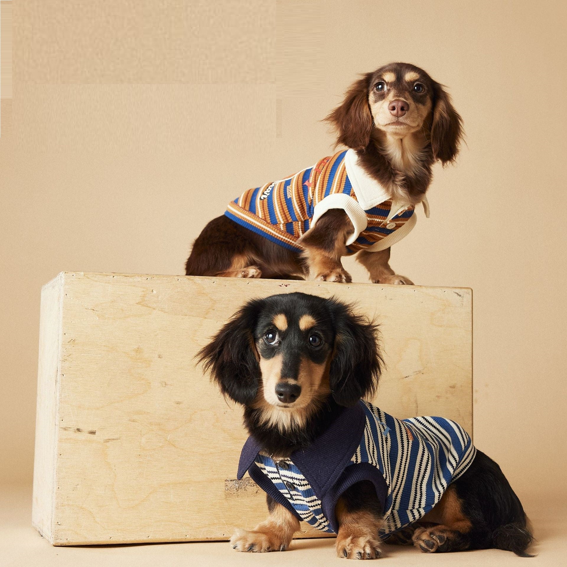 KFX-5505853 Casual Striped Polo Shirt for Dogs in Blue and Brown - Cotton Pet Clothing