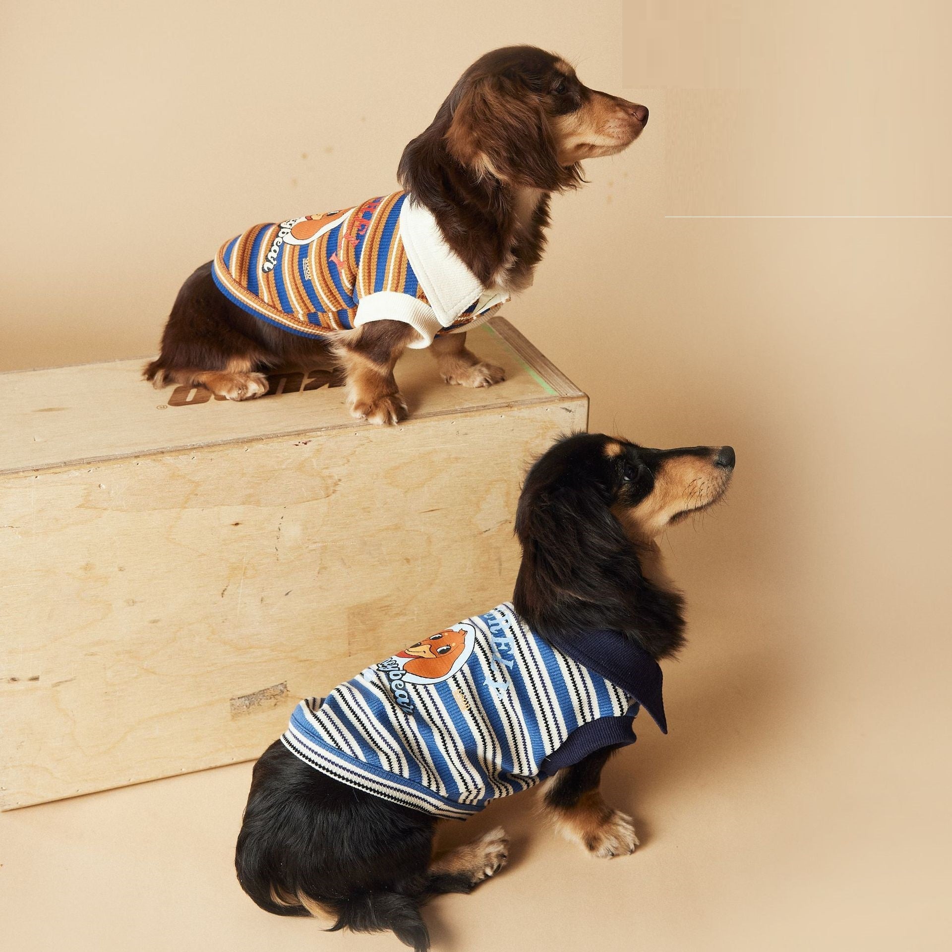 KFX-5505853 Casual Striped Polo Shirt for Dogs in Blue and Brown - Cotton Pet Clothing