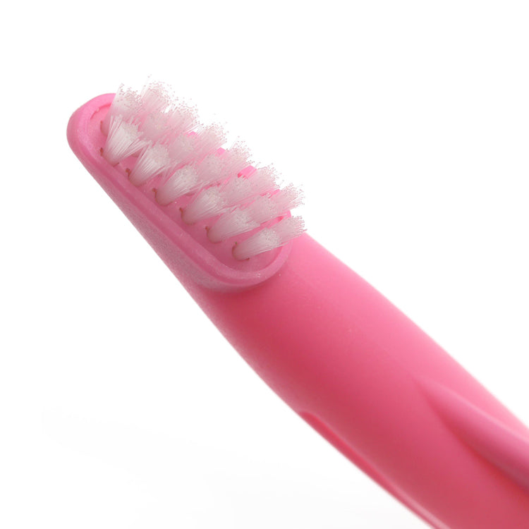KFX-5513661 Dog Toothbrush with Nylon Brush Head and ABS Handle for Effective Cleaning