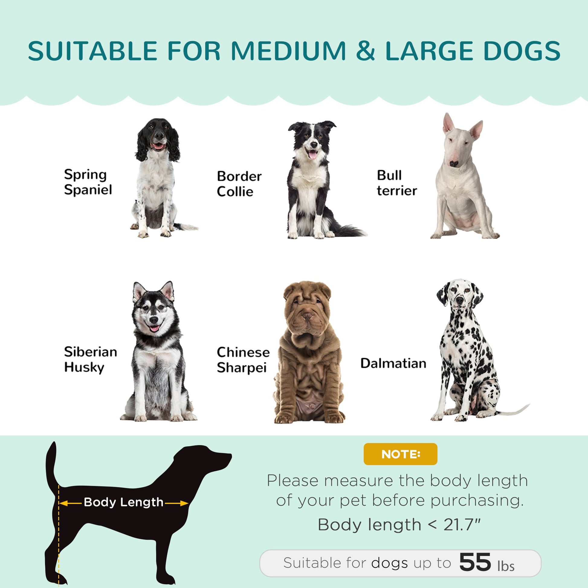 KFX-5525949 Elegant Velvet Pet Sofa for Medium to Large Dogs with Solid Wood Legs, Removable Cushion, Green