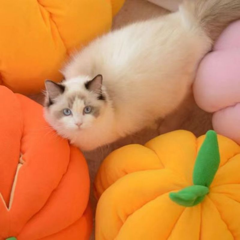 KFX-5527357 Cozy Pumpkin Nest Cat Bed for Deep Winter Sleep - Semi-Enclosed Pet Sleeping Bag for Cats and Small Animals