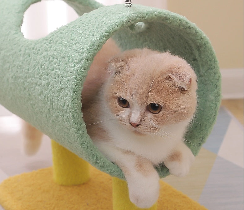 KFX-5542077 Wear-Resistant Cat Climbing Frame with Various Designs for Play and Comfort