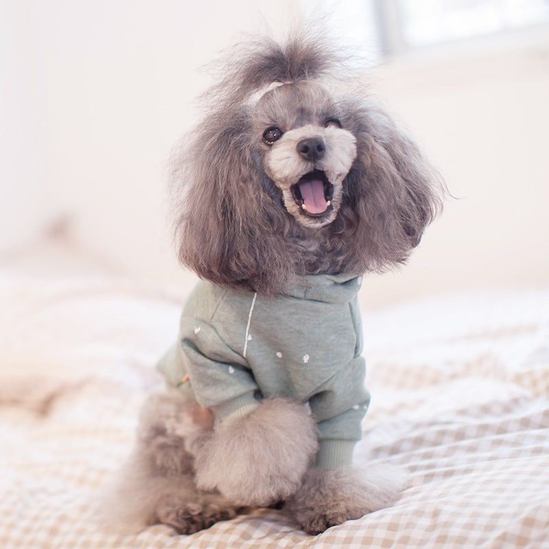 KFX-5542973 Cozy Pet Sweater for Dogs in Brown and Copper Green - Multiple Sizes Available