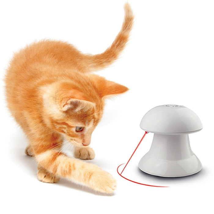 KFX-5549373 LED Laser Cat Turntable with USB Rechargeable Single and Dual Head Lasers