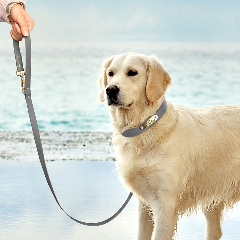KFX-5550397 Medium Dog Leash and Collar Set - Multiple Colors Available