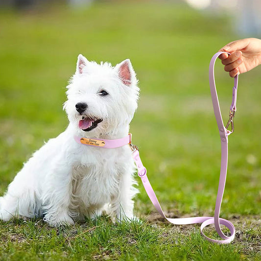 KFX-5550397 Medium Dog Leash and Collar Set - Multiple Colors Available