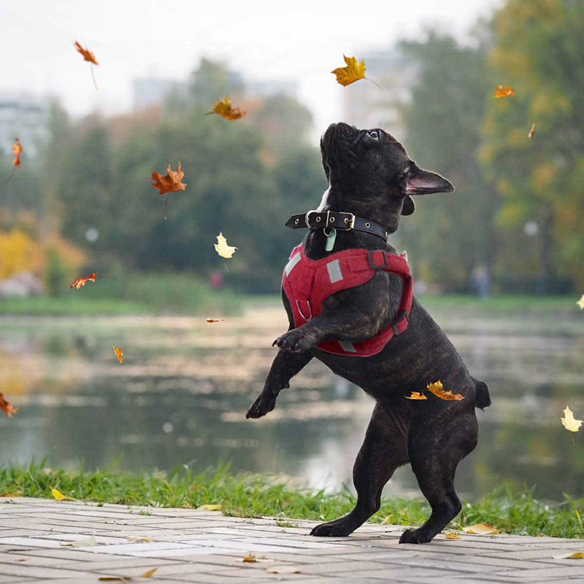 KFX-5553597 Reflective Comfort Dog Harness with Adjustable Strap and Safety Flashing Modes