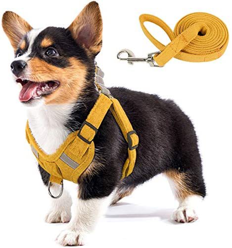 KFX-5553597 Reflective Comfort Dog Harness with Adjustable Strap and Safety Flashing Modes