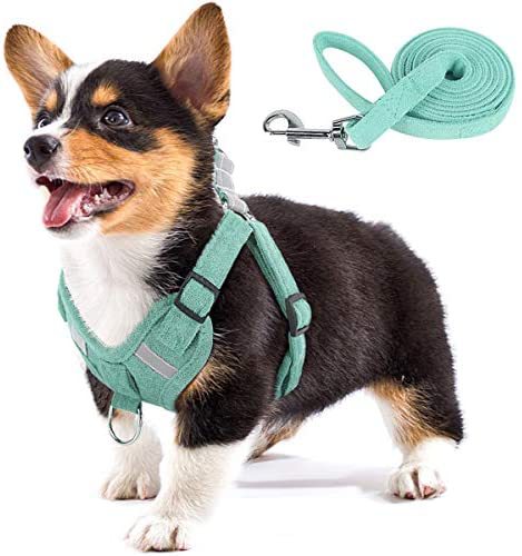 KFX-5553597 Reflective Comfort Dog Harness with Adjustable Strap and Safety Flashing Modes