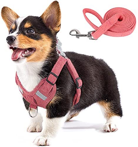 KFX-5553597 Reflective Comfort Dog Harness with Adjustable Strap and Safety Flashing Modes
