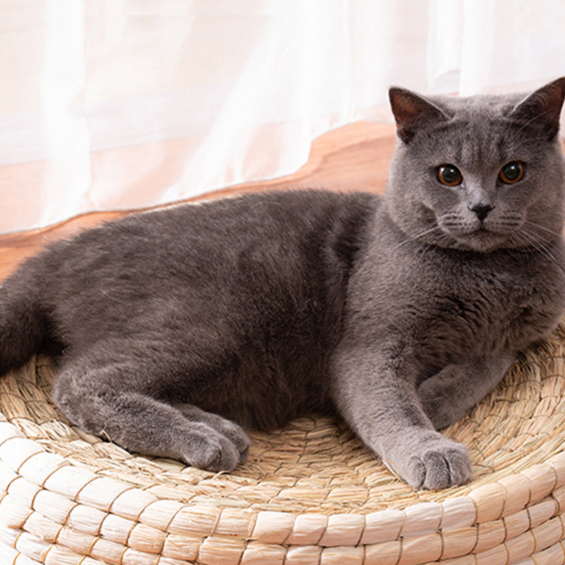 KFX-5561917 Cozy Straw and Corn Husk Cat Bed with 35cm Diameter for Relaxation