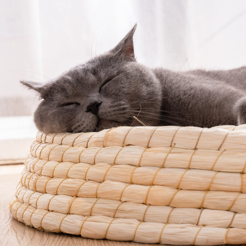 KFX-5561917 Cozy Straw and Corn Husk Cat Bed with 35cm Diameter for Relaxation