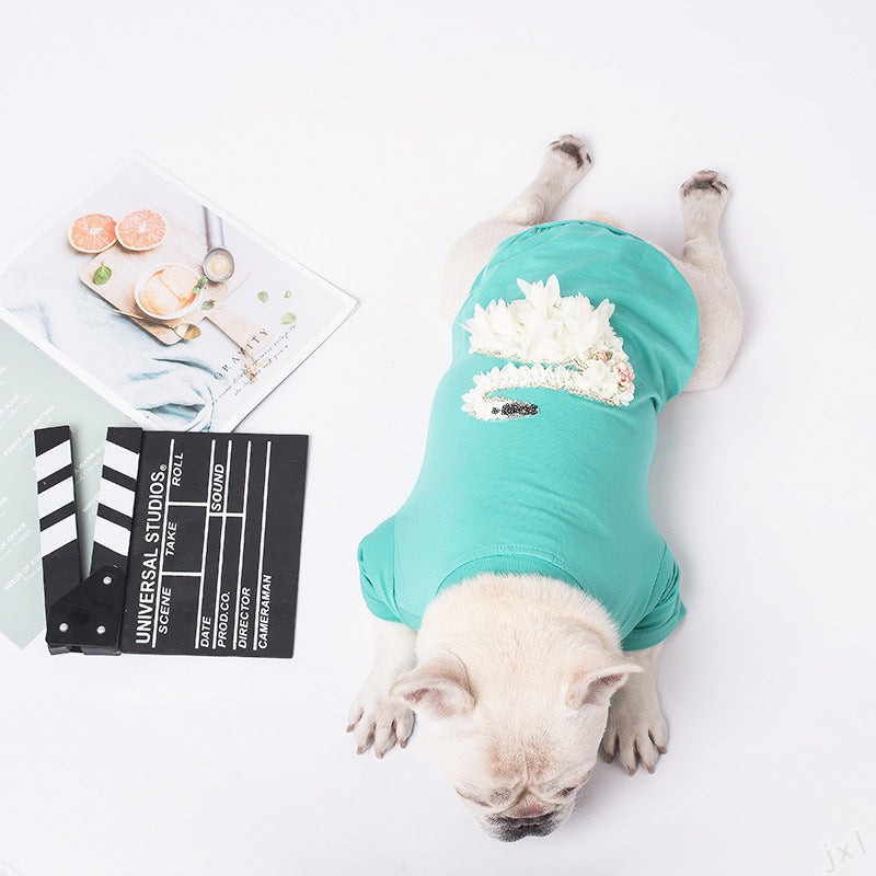 KFX-5564221 Warm Cotton Sweater for Small Dogs - Light Purple and Lake Blue Options Available