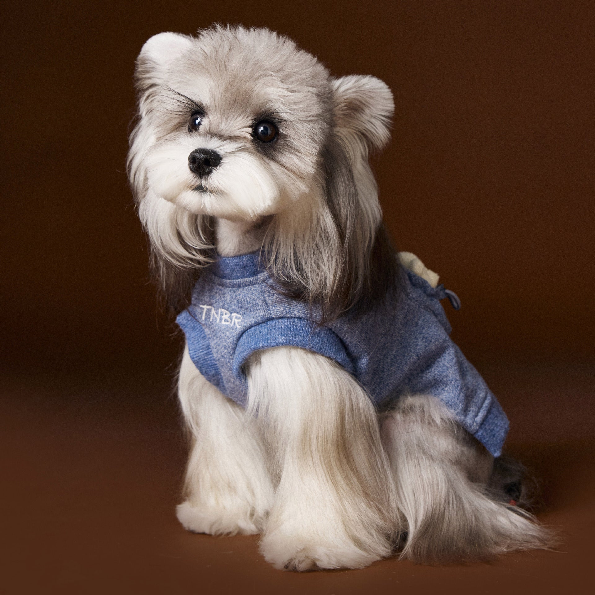 KFX-5564605 Bichon Maltese Sleeveless Sweater Featuring Three-Dimensional Bear Head Design in Blue and Green