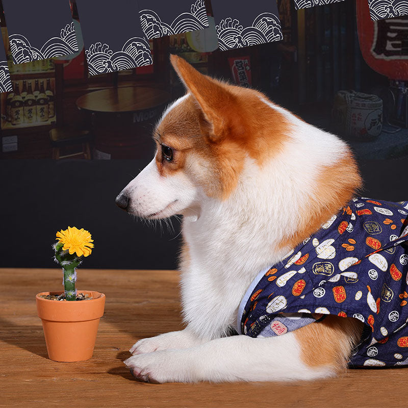 KFX-5566397 Medium Kimono Style Spring and Summer Outfit for Small Dogs