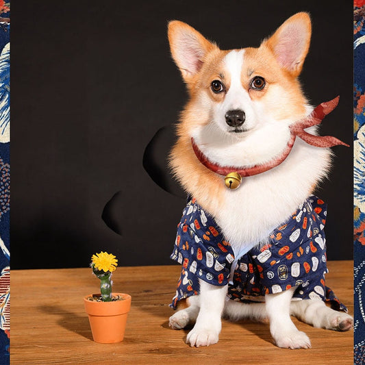 KFX-5566397 Medium Kimono Style Spring and Summer Outfit for Small Dogs