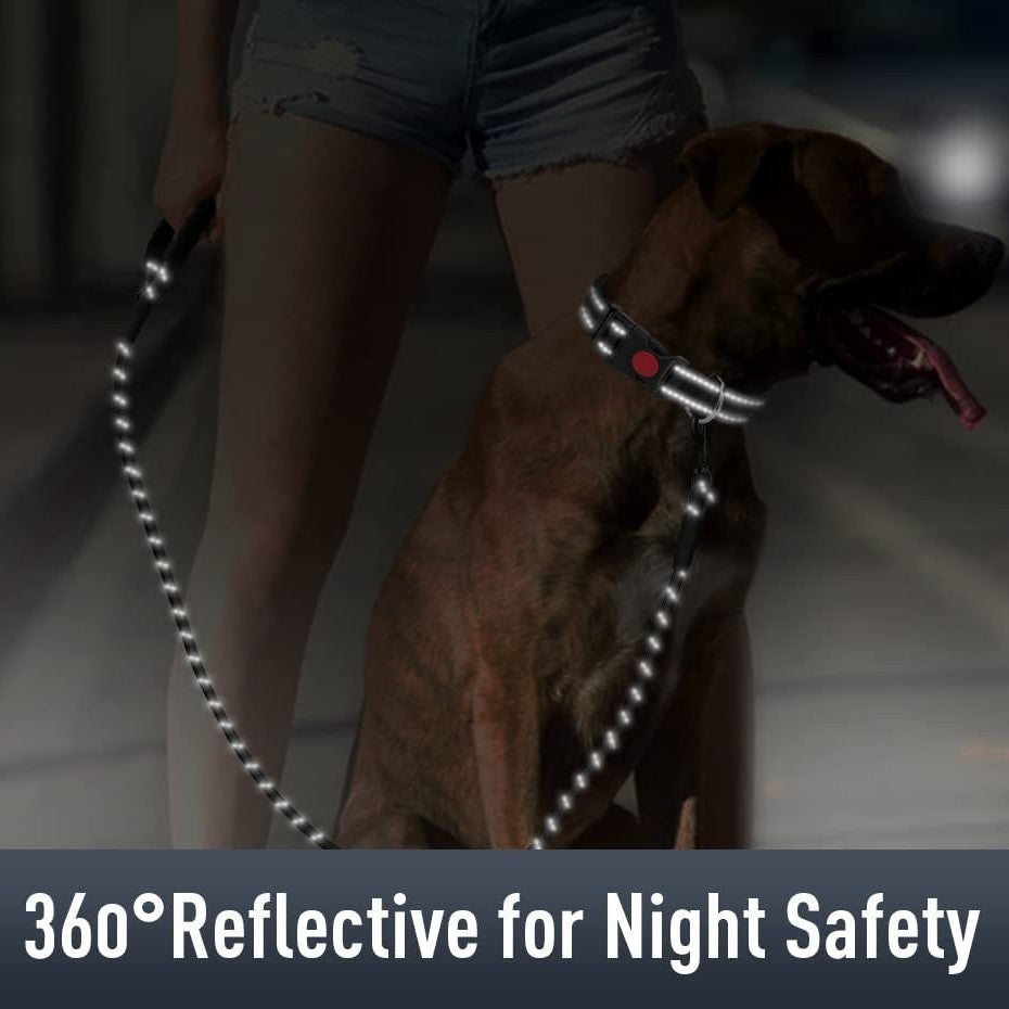 KFX-5567805 Reflective Nylon Dog Collar with Monochrome Options for All Seasons