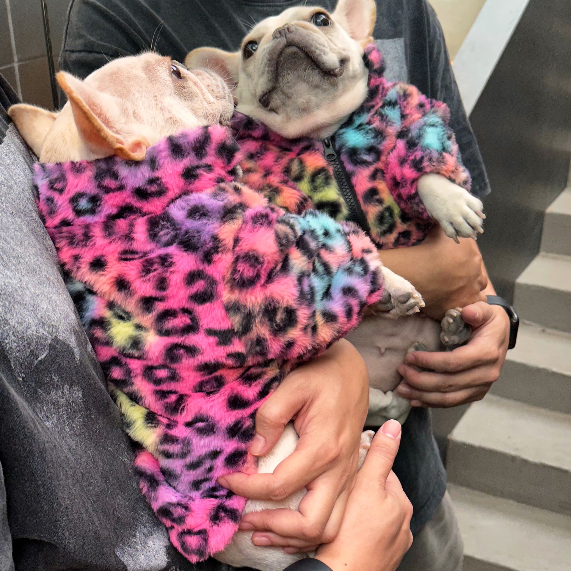 KFX-5568189 Colorful Leopard Print Velvet Coat for Pets in Various Sizes S-XXL