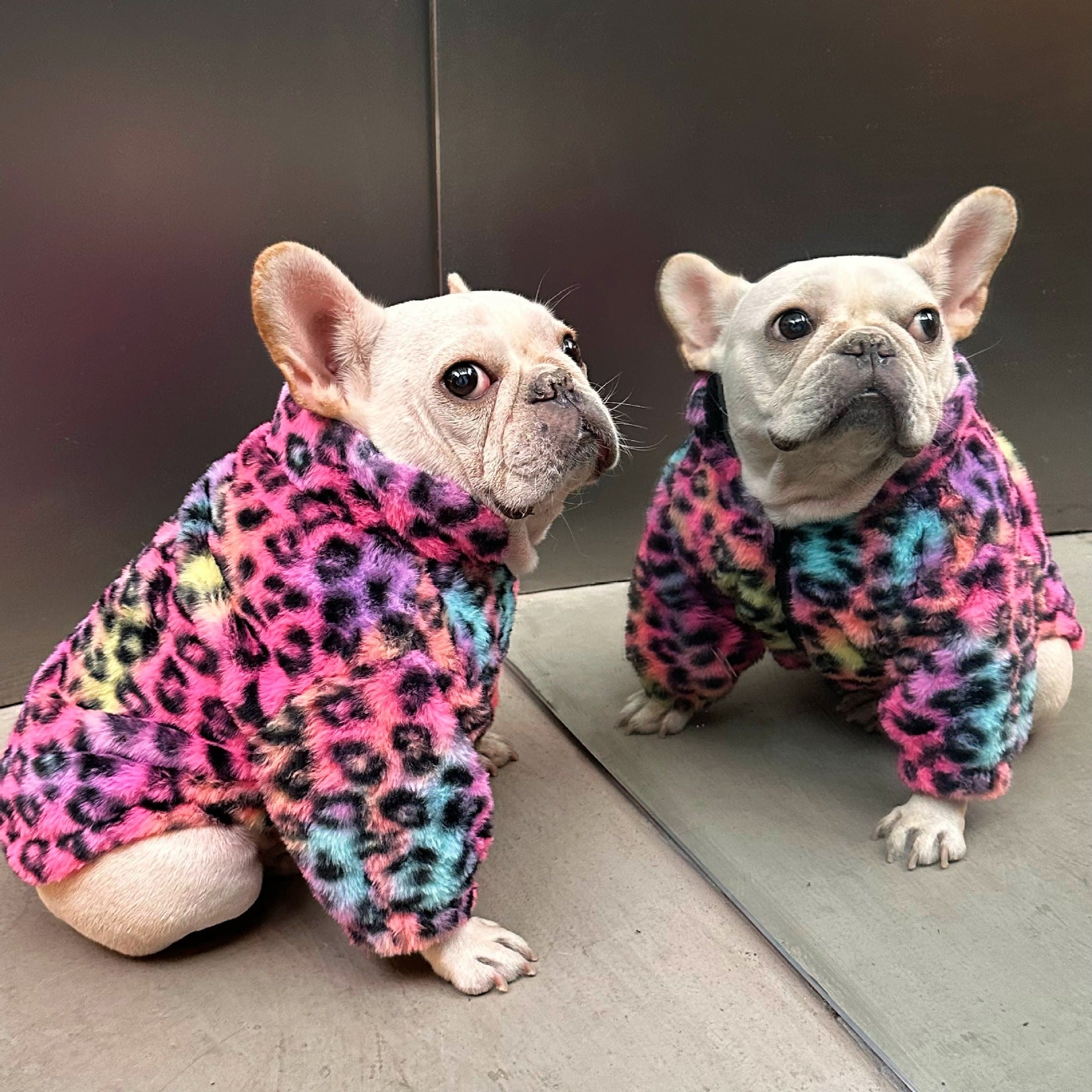 KFX-5568189 Colorful Leopard Print Velvet Coat for Pets in Various Sizes S-XXL