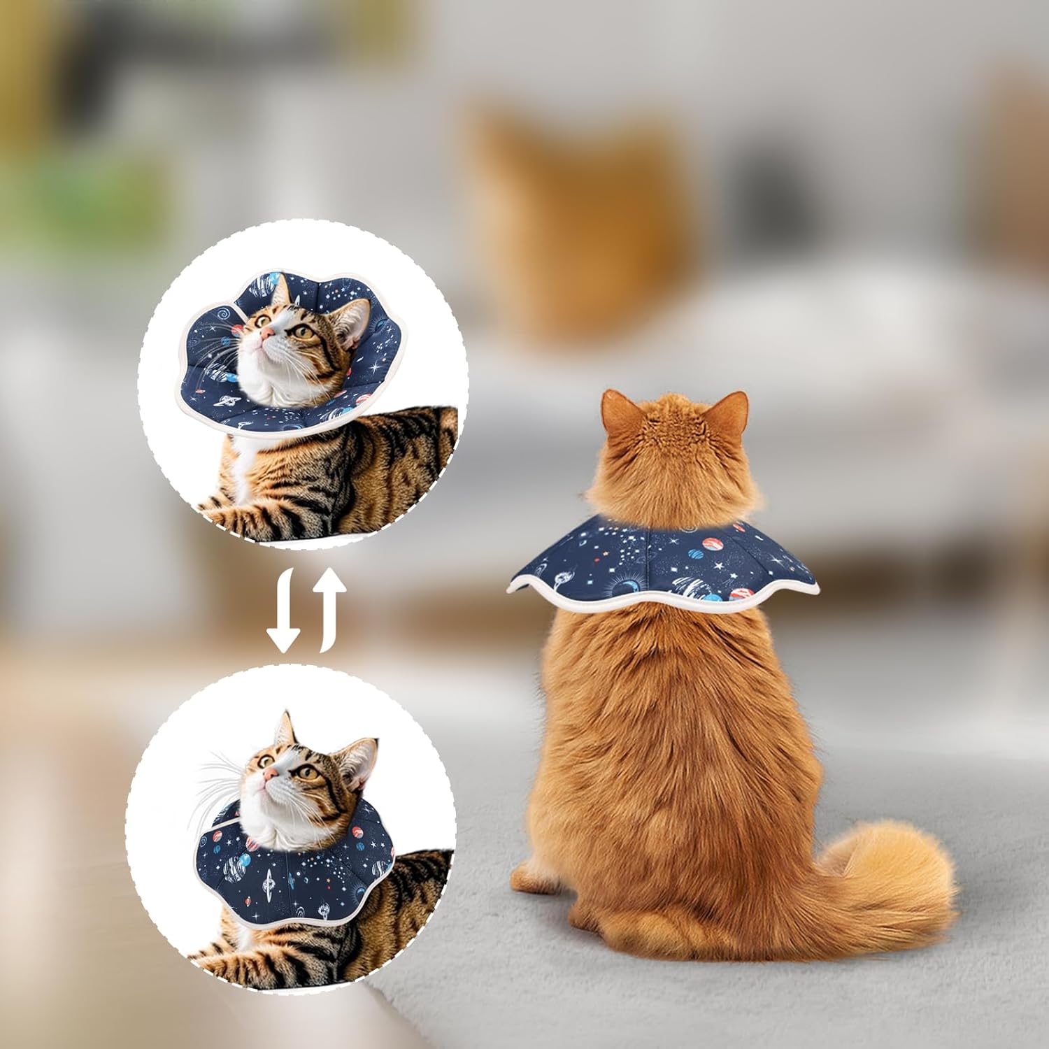 KFX-5573053 Soft Cat Recovery Cone Collar for Post-Surgery Comfort | Adjustable Neck Protector for Small and Medium Cats
