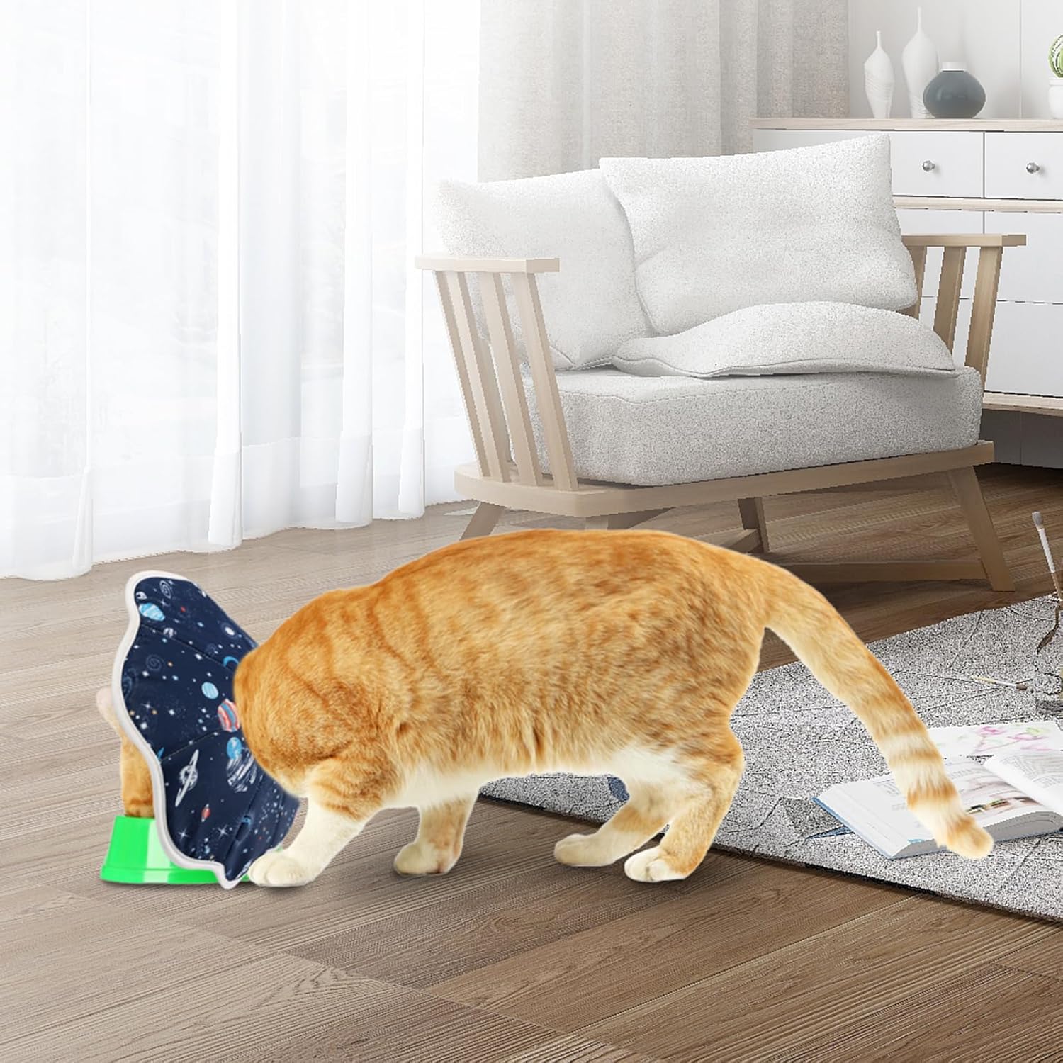 KFX-5573053 Soft Cat Recovery Cone Collar for Post-Surgery Comfort | Adjustable Neck Protector for Small and Medium Cats