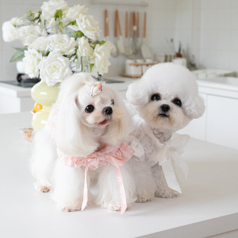 KFX-5573181 Cat Tie Bow Collar Dress - Polyester Skirt in White and Pink, Sizes XXS to 3XL