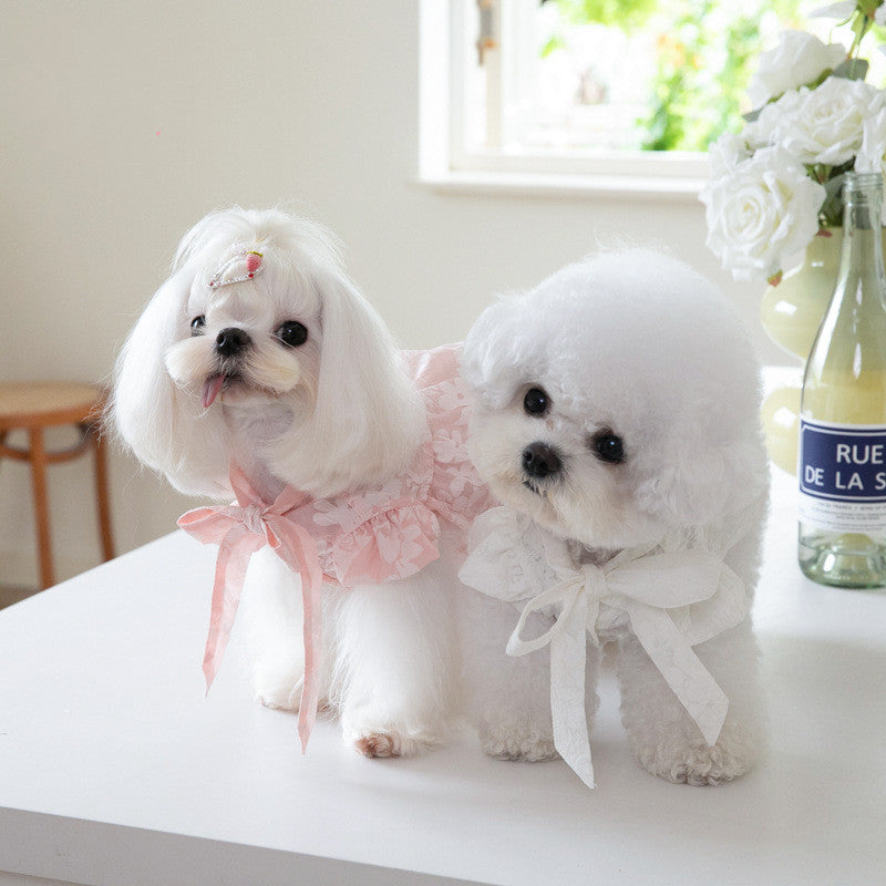 KFX-5573181 Cat Tie Bow Collar Dress - Polyester Skirt in White and Pink, Sizes XXS to 3XL