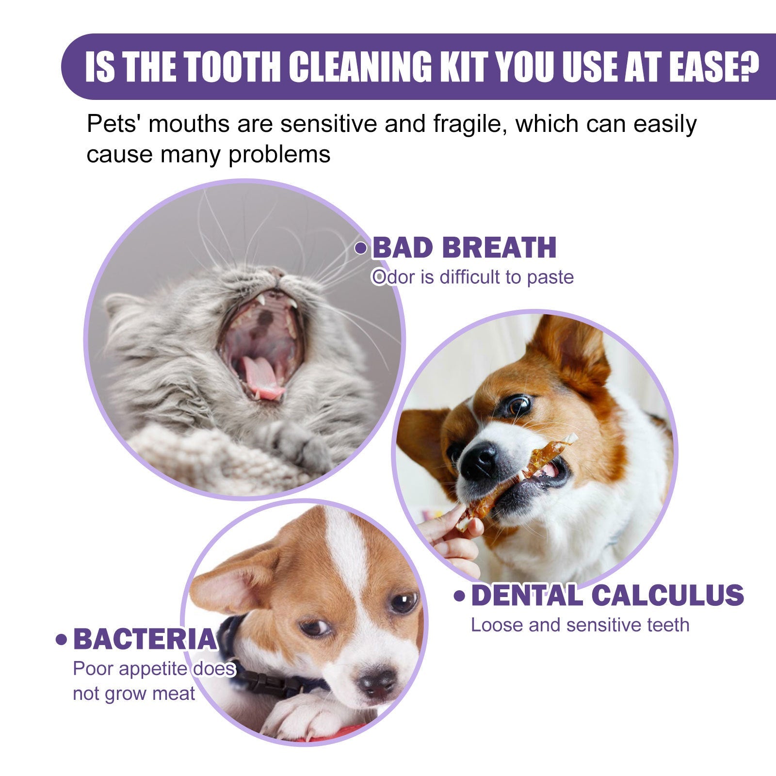 KFX-5573437 Gentle Pet Cleaning Gloves and Wet Wipes for Teeth Care, Tartar Removal, and Odor Control - 50 Pack