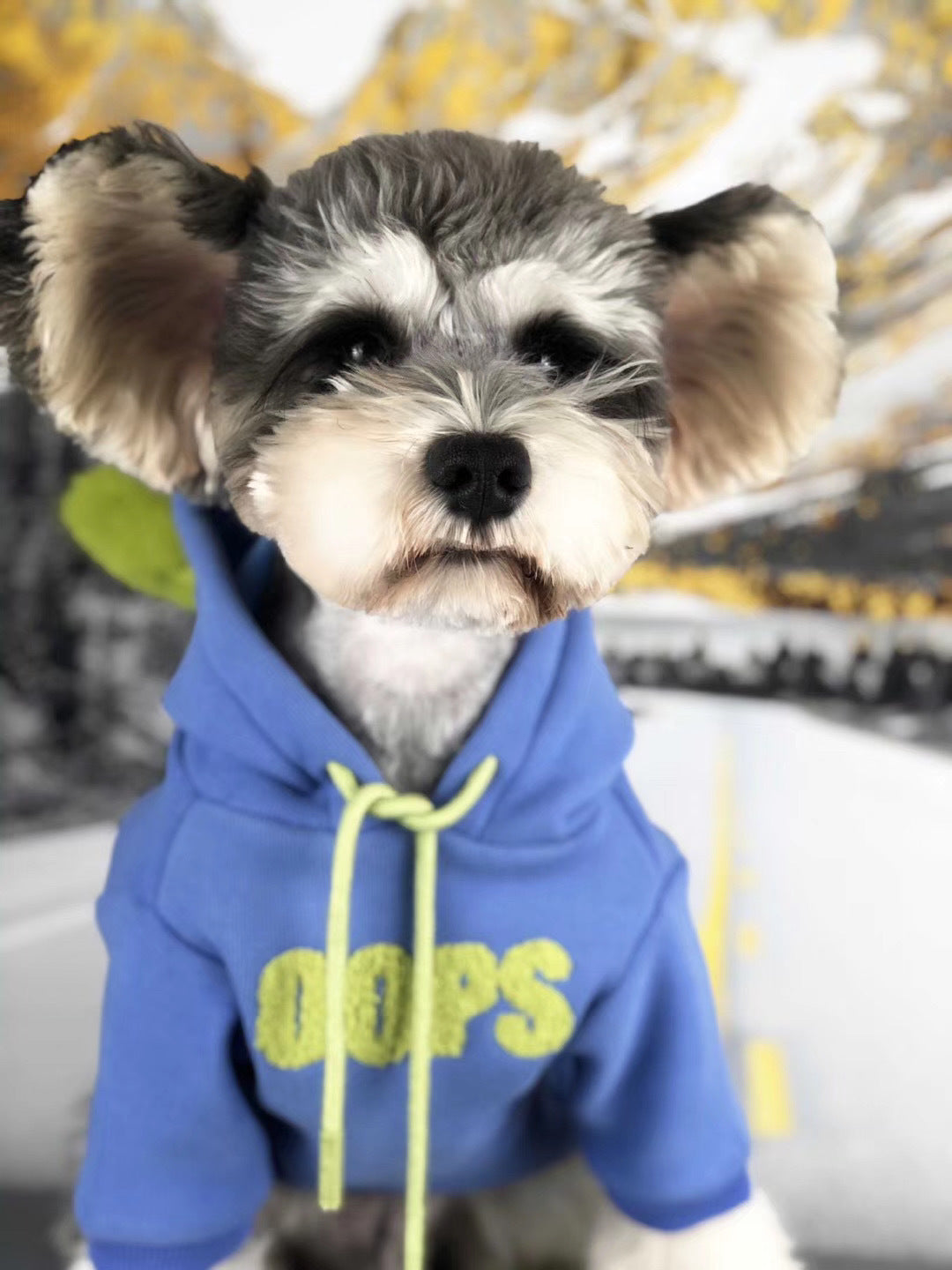 KFX-5576637 Velvet Cotton Pet Sweater for Cats - Available in Multiple Colors and Sizes