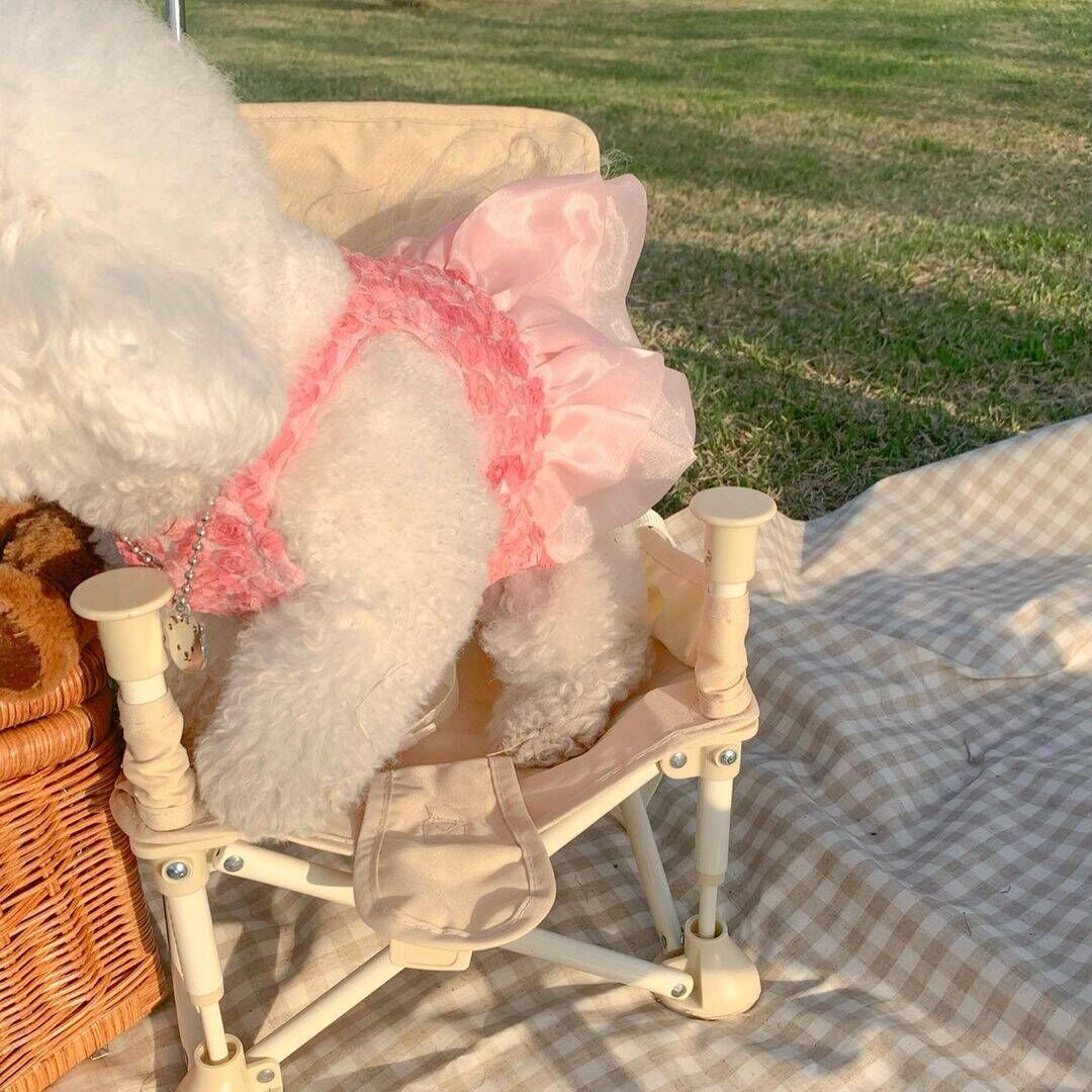 KFX-5587645 Rose Lace Pet Dress for Spring and Summer - XS, S, M, L, XL