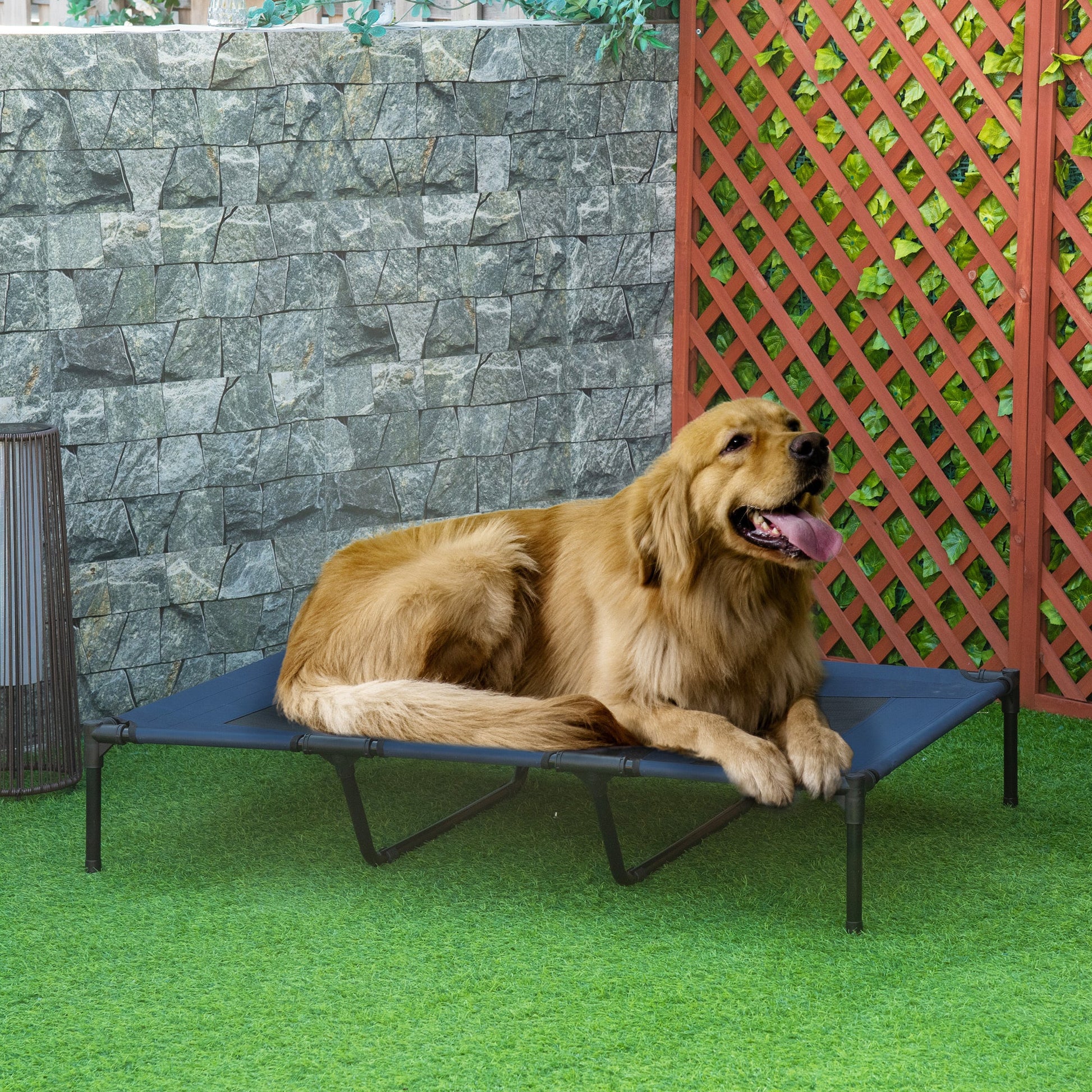 KFX-5591485 Elevated Cooling Dog Cot Bed with Breathable Mesh - Ideal for Indoor & Outdoor Use - Supports Pets Up to 110 lbs