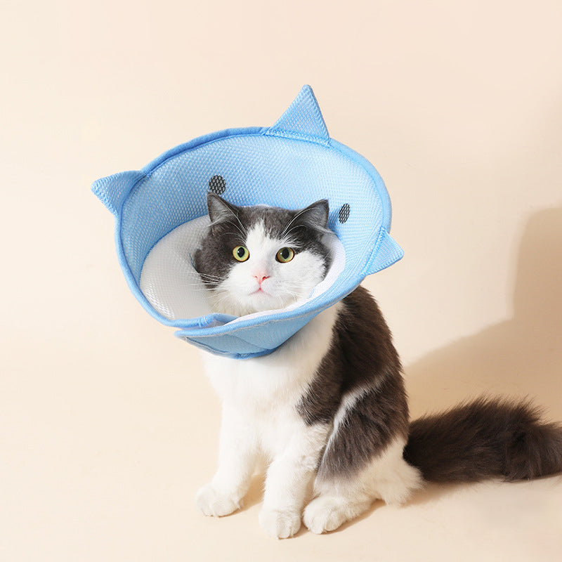 KFX-5596093 Soft Nonwoven Fabric Cat Recovery Collar - Shark Shape, Protective Adjustable Cone for Wound Healing and Comfort