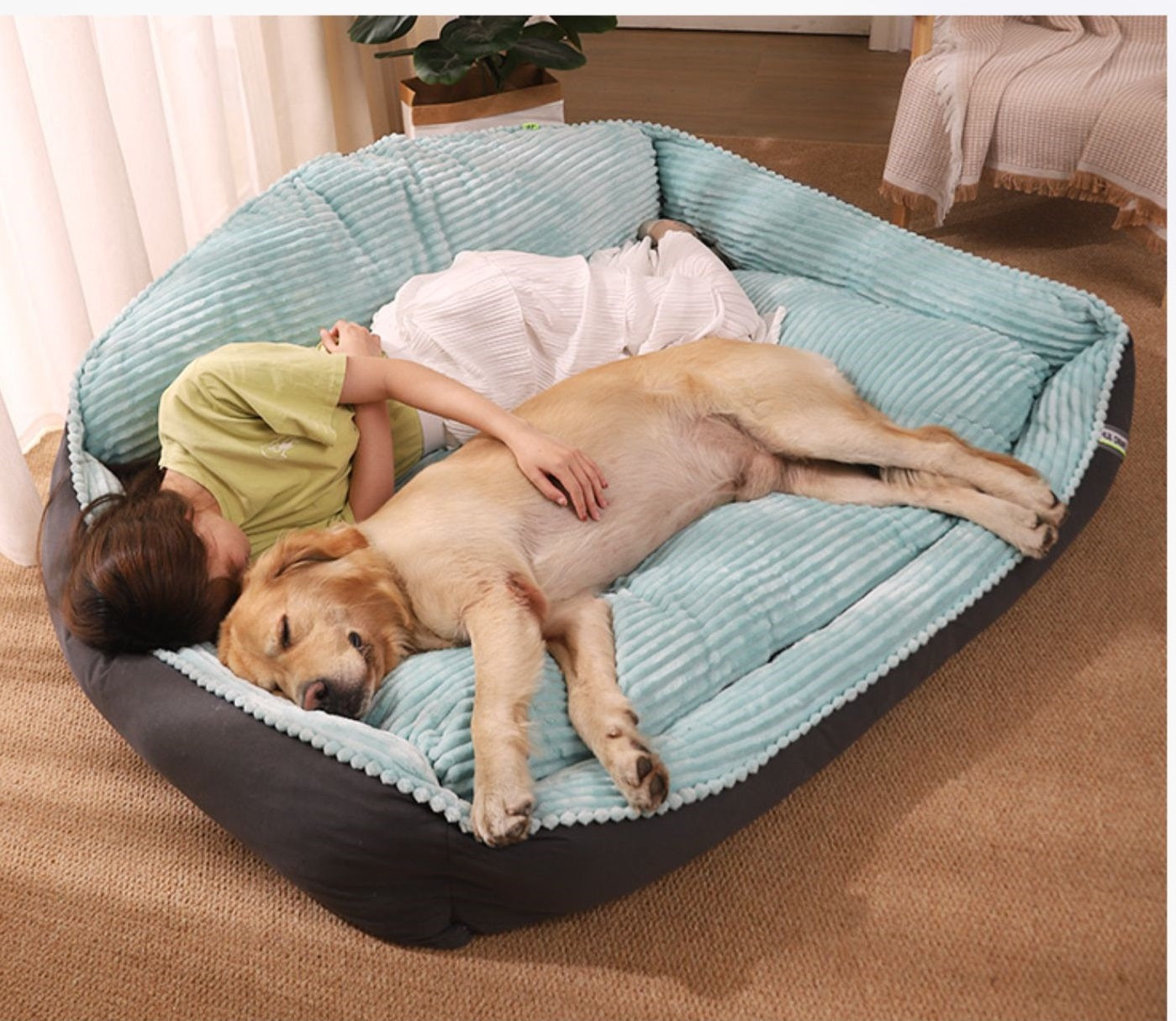 KFX-5596861 Cozy Velvet and Imitation Leather Removable Washable Medium Dog Kennel - Multiple Sizes Available