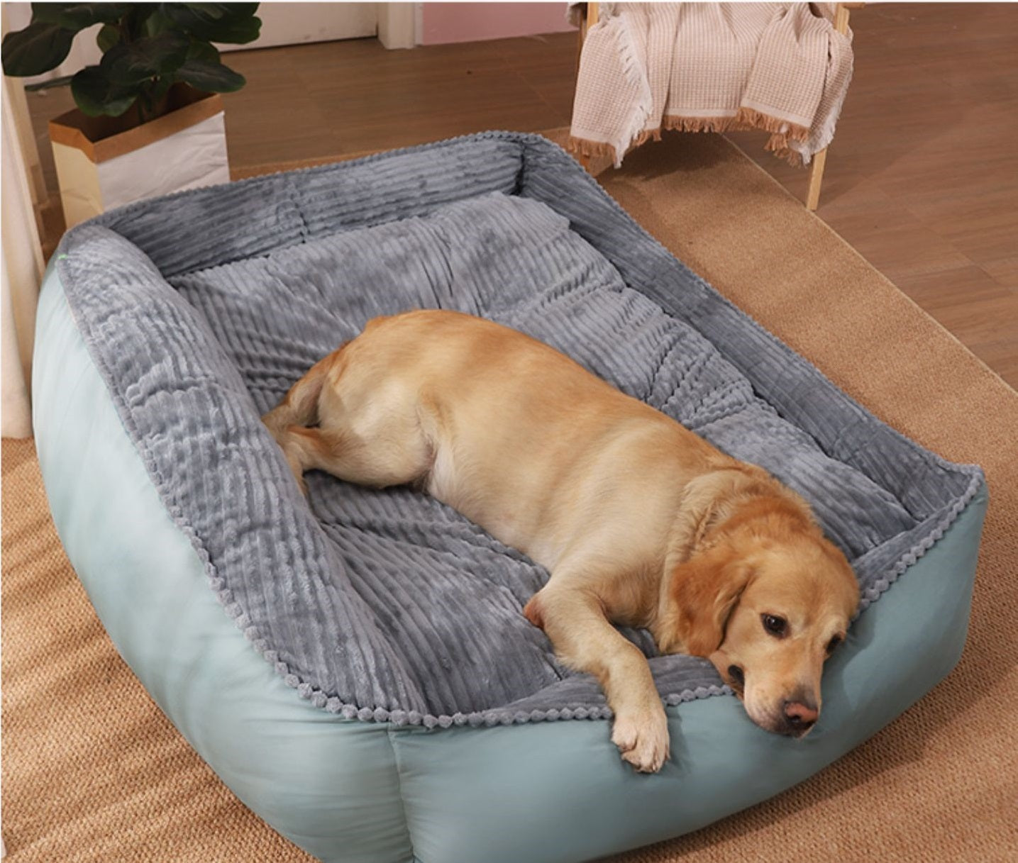 KFX-5596861 Cozy Velvet and Imitation Leather Removable Washable Medium Dog Kennel - Multiple Sizes Available