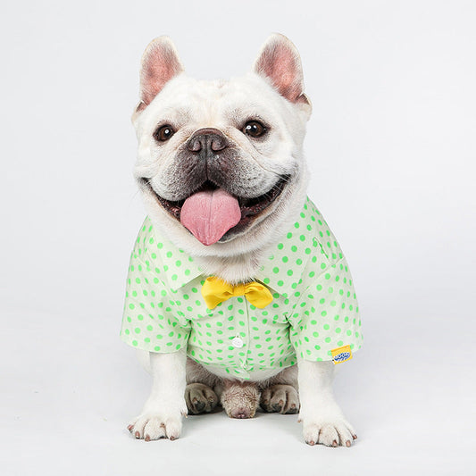 KFX-5599165 Green Polka Dot Cotton Shirt for Small to Medium Cats with Button Closure