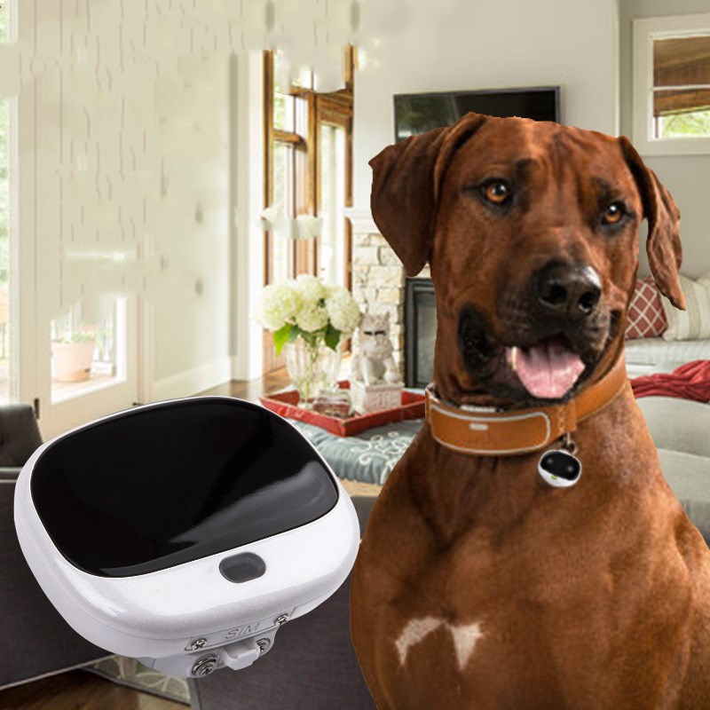 KFX-5600573 Portable Mini Cat Tracker with LED Light and Waterproof Smart Collar for Real-Time Pet Location Tracking