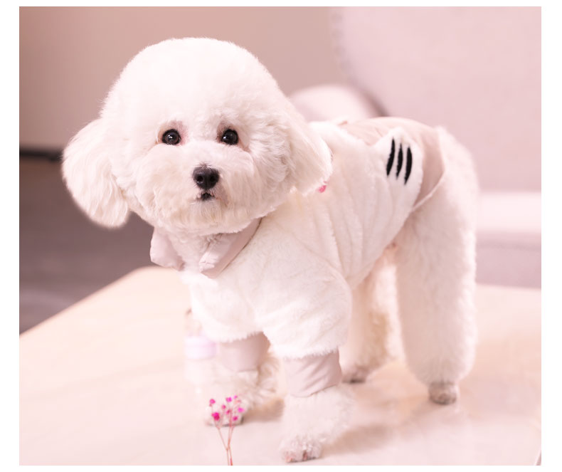 KFX-5604925 Elegant Velvet Cotton Clothes for Pomeranian and Bichon Teddy Breeds