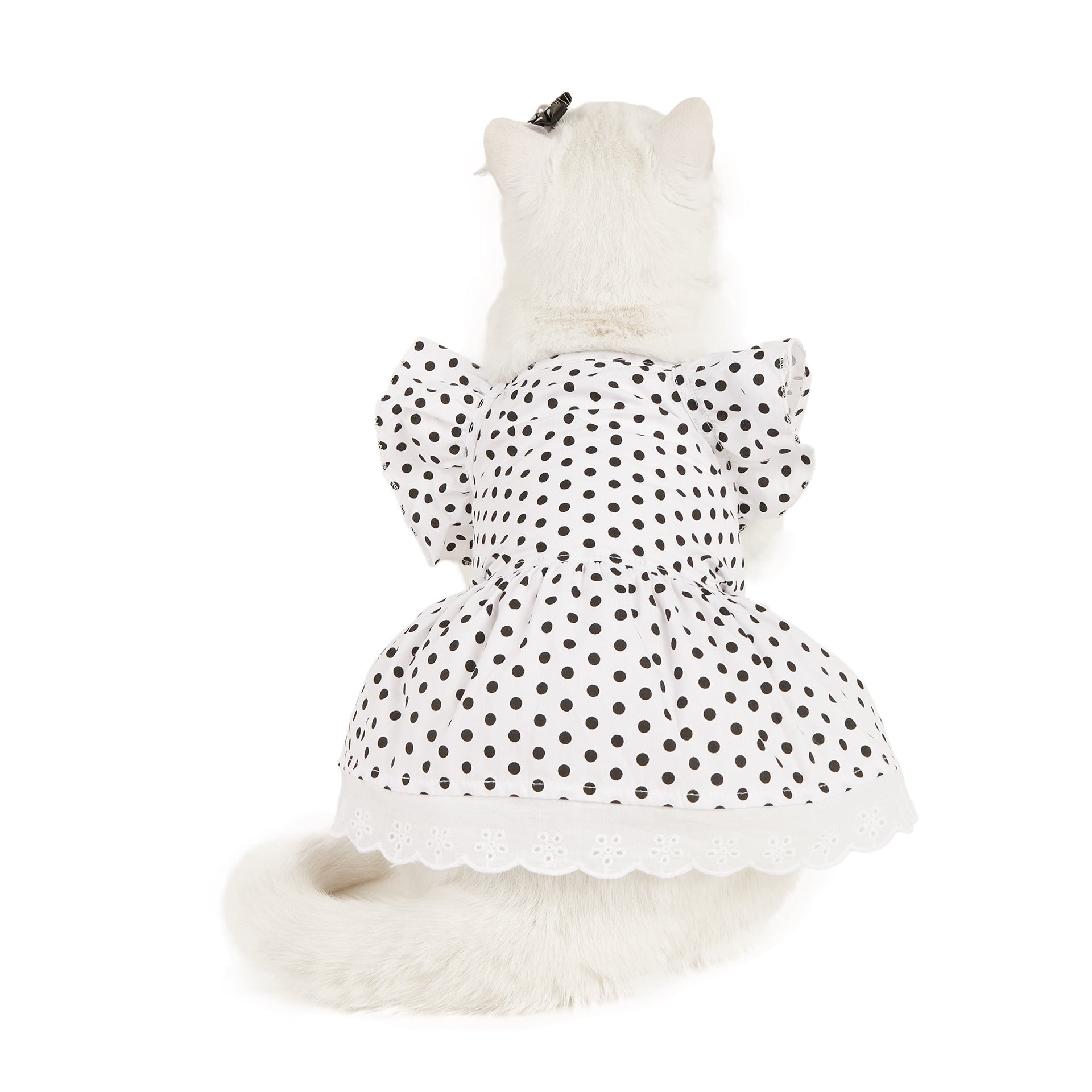 KFX-5605949 Polka Dot Dress for Dogs with Matching Headband - Cute Cotton Skirt for Pets