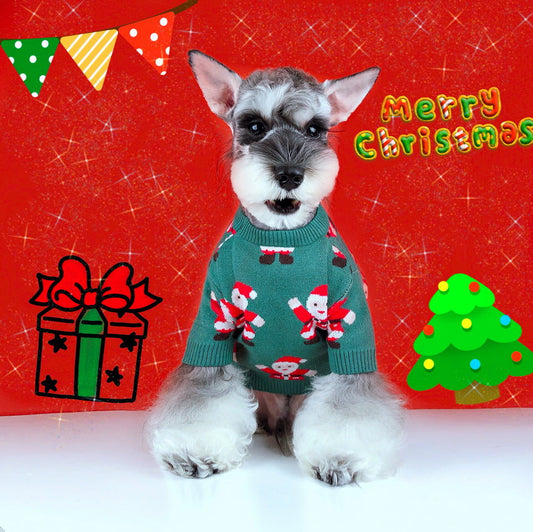 KFX-5617853 Schnauzer Teddy Winter Christmas Sweater in Green with Santa Claus Pattern